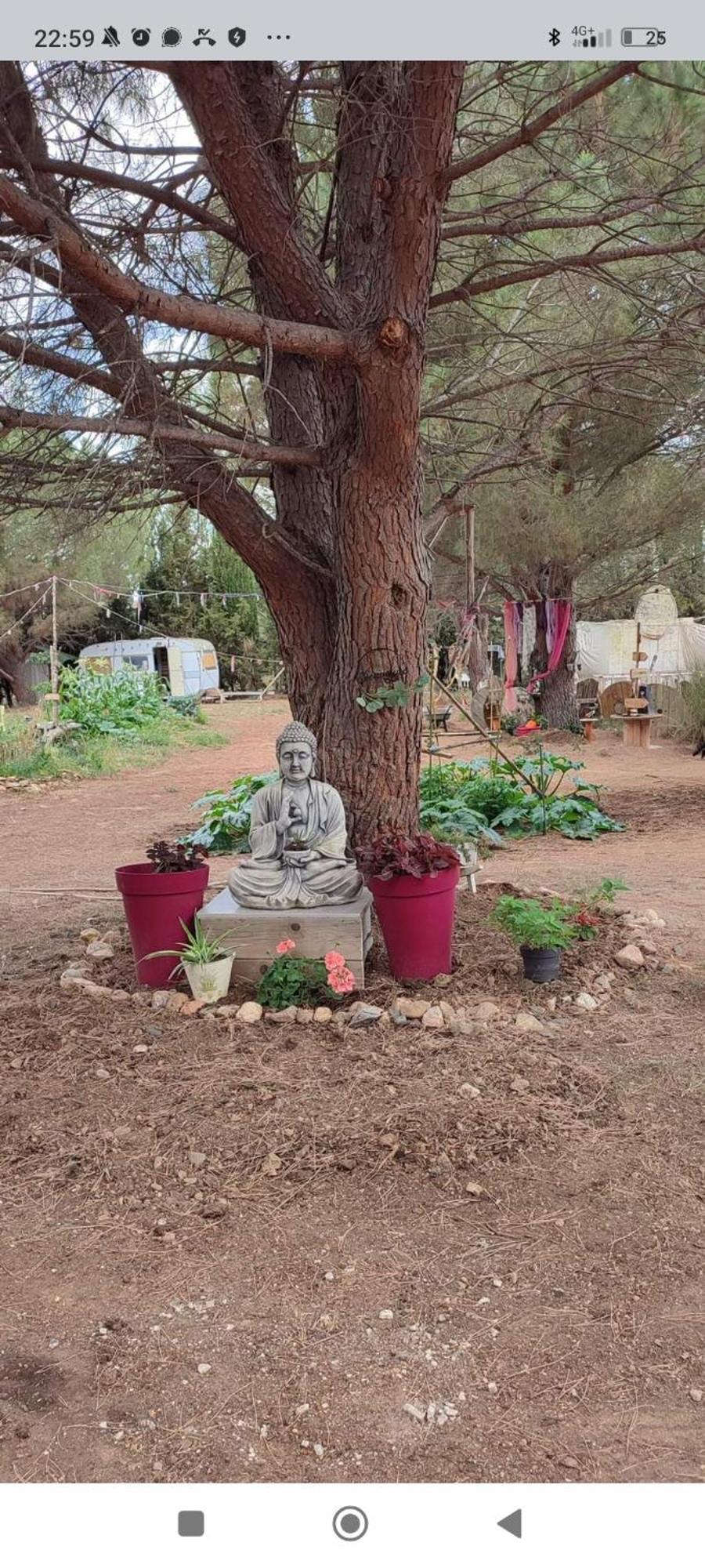 Mobilhome Vintage Dans Camping A La Ferme Ponteilla المظهر الخارجي الصورة